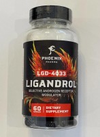 LIGANDROL LGD-4033 (PHOENIX) 60 капсул