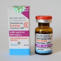 Testosterone Enanthate (Watson) 10 мл - 300мг/мл