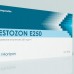 TESTOZON E250 (Horizon) 1 ампула - 250мг/мл